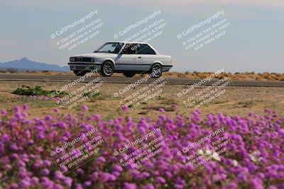 media/Jan-08-2023-SCCA SD (Sun) [[8f6a5b9391]]/Intermediate Group/Session 2 (Short Straight)/